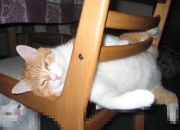 爱游戏娱乐-罗德里一战封神！米兰德比惊天逆转背后，那些数字讲述的统治力故事