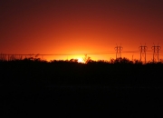 爱游戏APP-当塔图姆在纽约擦亮利刃，一场跨越太平洋的篮球对话