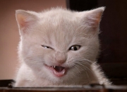 爱游戏官方入口-总决赛之夜的非典型胜利，当维尼修斯在另一个赛场评分拉满