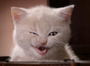 爱游戏官方入口-总决赛之夜的非典型胜利，当维尼修斯在另一个赛场评分拉满