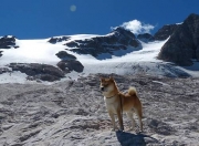 爱游戏官方入口-大场面先生与铁血之师，哈登的魔咒与辽宁的拼杀