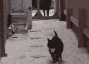 爱游戏tv-杜兰特爆发引领活塞队，连续得分潮压制北京队