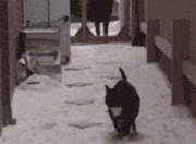 爱游戏tv-杜兰特爆发引领活塞队，连续得分潮压制北京队