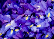 爱游戏官方入口-特奥数据全面爆炸！瑞典对阵美国之战创历史，中场核心闪耀全场