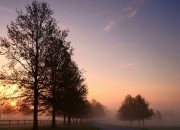 爱游戏官方入口-破晓奥克兰，迪马利亚奇迹助攻点燃新西兰足球文艺复兴