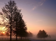 爱游戏官方入口-破晓奥克兰，迪马利亚奇迹助攻点燃新西兰足球文艺复兴