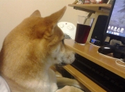 爱游戏官方入口-英格拉姆化身关键先生，广厦队爆冷淘汰太阳队晋级四强