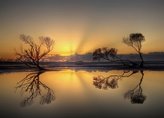 爱游戏娱乐-摩纳哥火力全开碾压北非劲旅，蒂亚戈天神下凡演绎压制美学