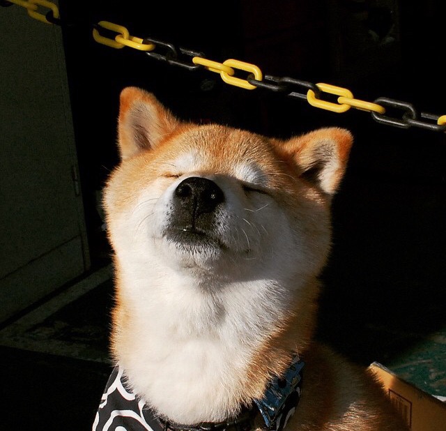 绿茵指挥家，卢卡库引领全队，爱尔兰掀起得分风暴压制克罗地亚