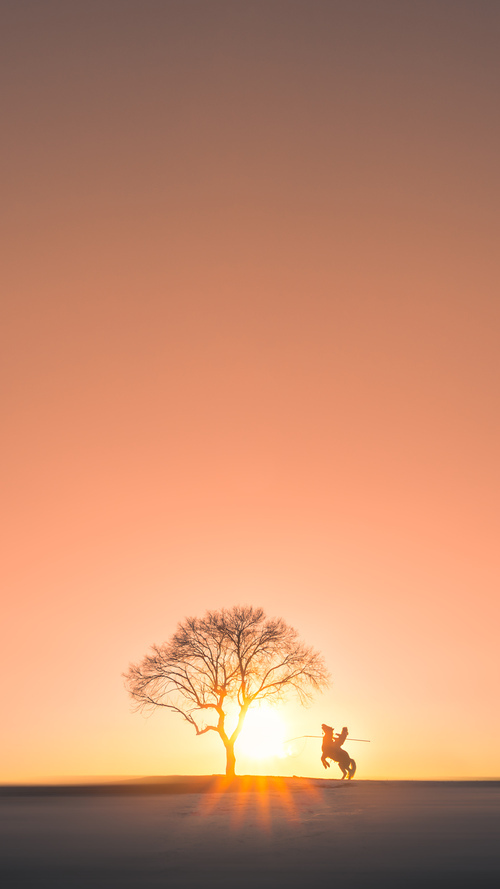 掌控与反制，福克斯主导节奏，辽宁团队之力击溃公牛