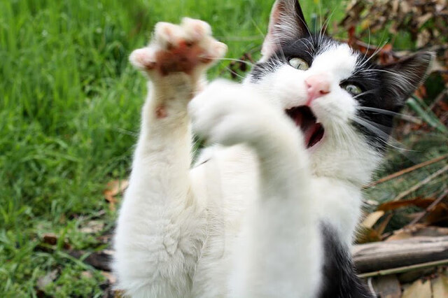 世界排名争夺战焦点战，青春风暴撕裂传统枷锁，活塞打穿马刺启示录