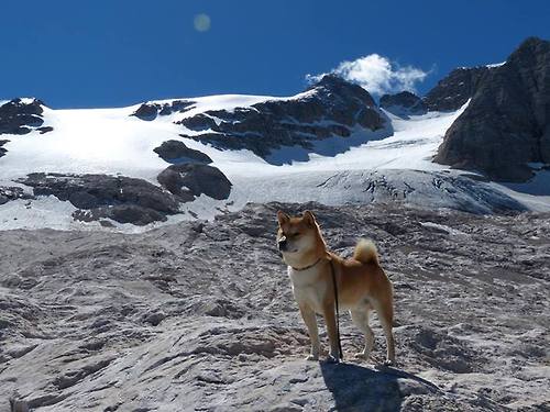 大场面先生与铁血之师，哈登的魔咒与辽宁的拼杀