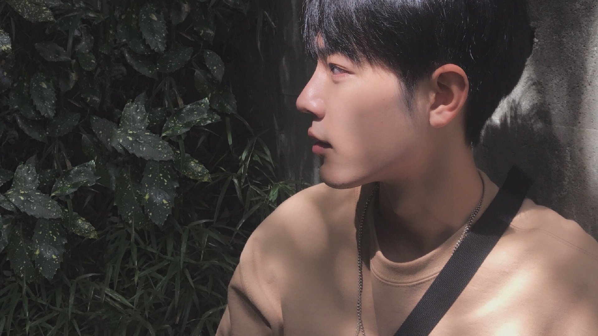 总冠军球队的最终形态,成王败寇的两种解答