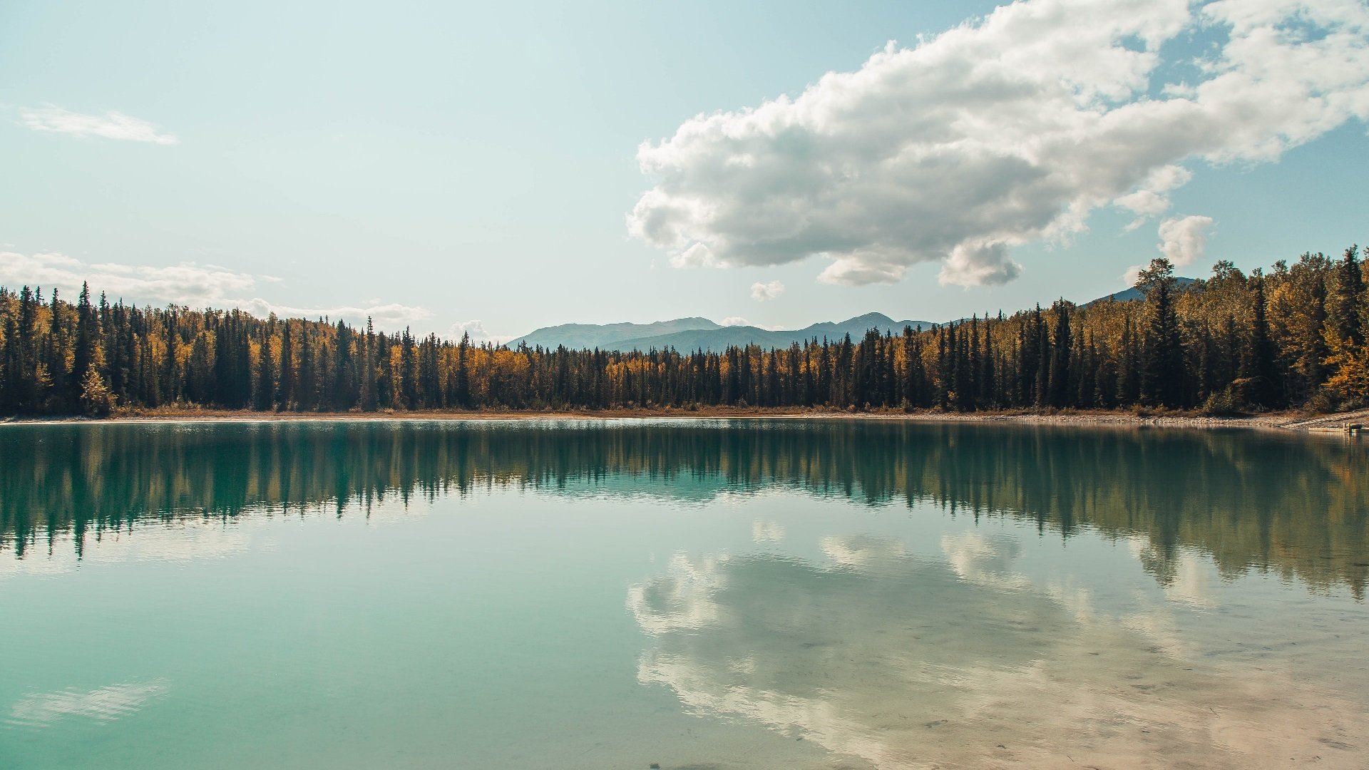 萨克拉门托黎明,杰伦·格林的关键节点觉醒与一记改写命运的绝杀