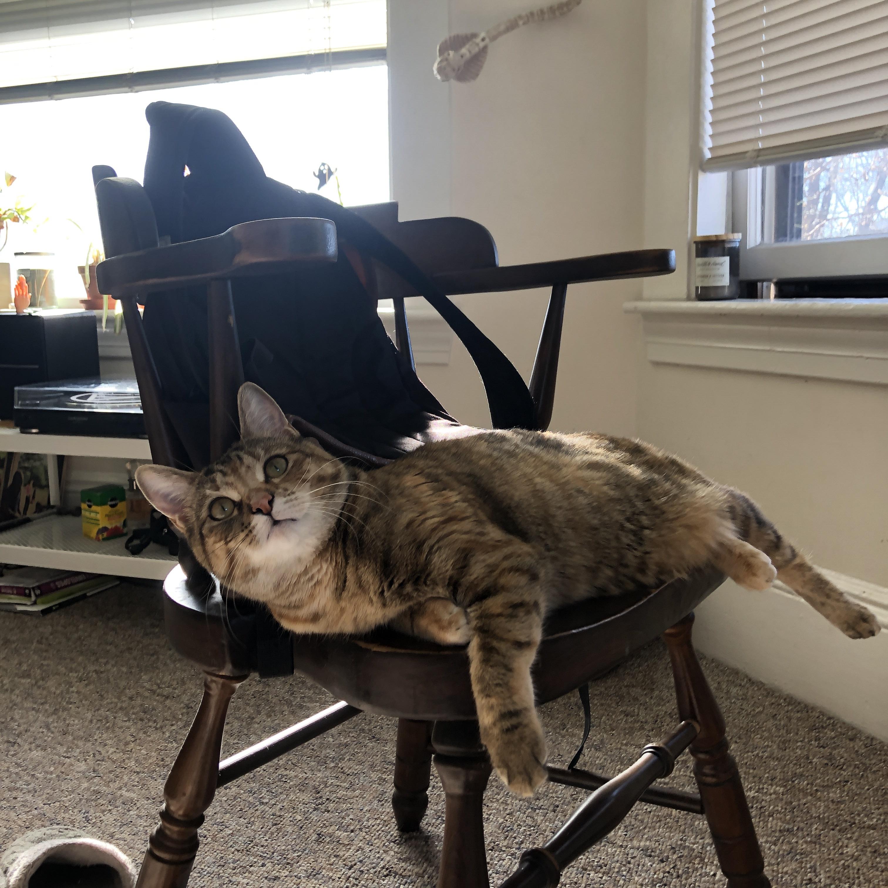 萨克拉门托黎明,杰伦·格林的关键节点觉醒与一记改写命运的绝杀