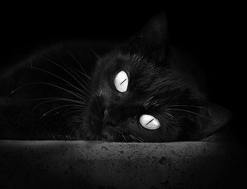 广厦队惊天逆转开拓者,贝恩末节爆发成关键先生