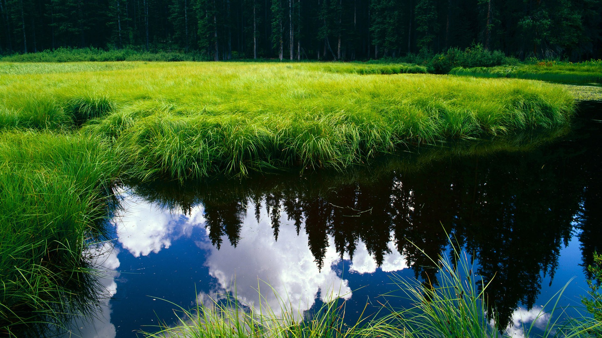 萨拉赫硬仗之王，英格兰足球碾压AC米兰的辉煌篇章