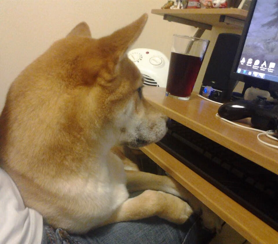 英格拉姆化身关键先生，广厦队爆冷淘汰太阳队晋级四强